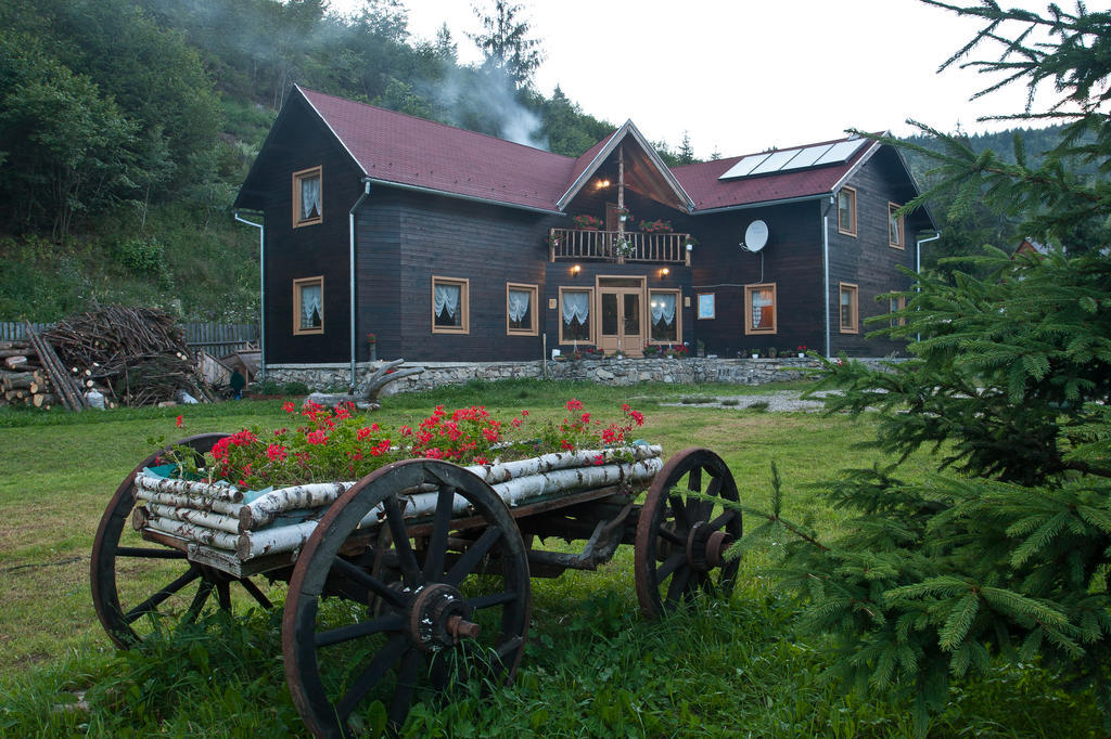 Hotel Vila Varpatak Gheorgheni  Exteriér fotografie