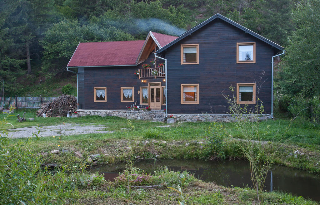 Hotel Vila Varpatak Gheorgheni  Exteriér fotografie